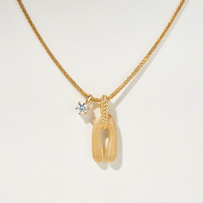 lucky horseshoe necklace